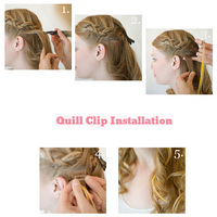 Quill Clip Installation:  (© fineFeatherheads)