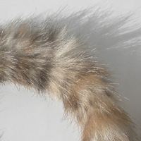 FAUX FUR HEADBAND (Zoom):  (© Great Lengths)