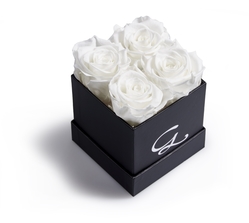 THE G ROSE WHITE - 4 ROSES SQUARE BOX:  (© Great Lengths)